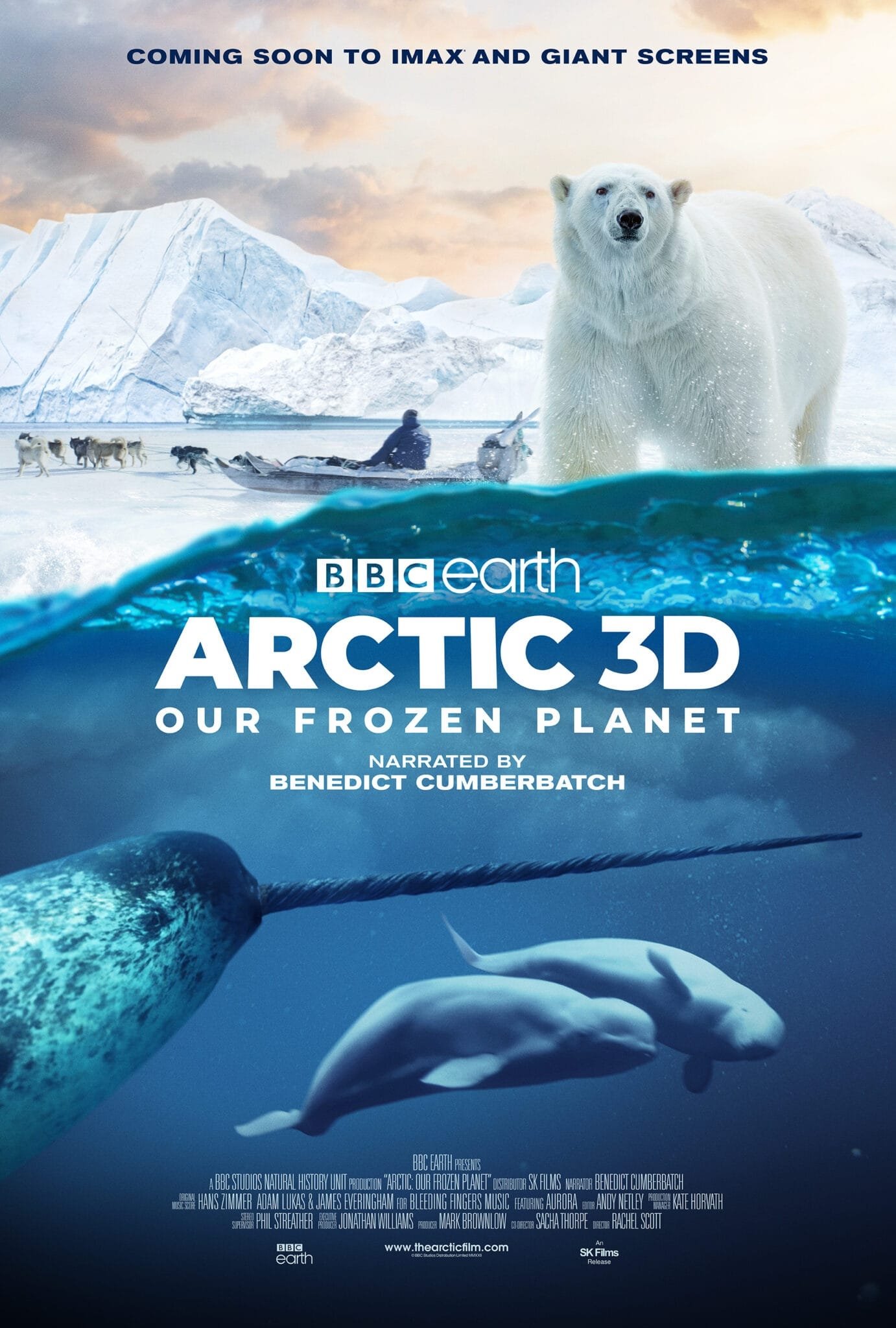 Постер Arctic: Our Frozen Planet